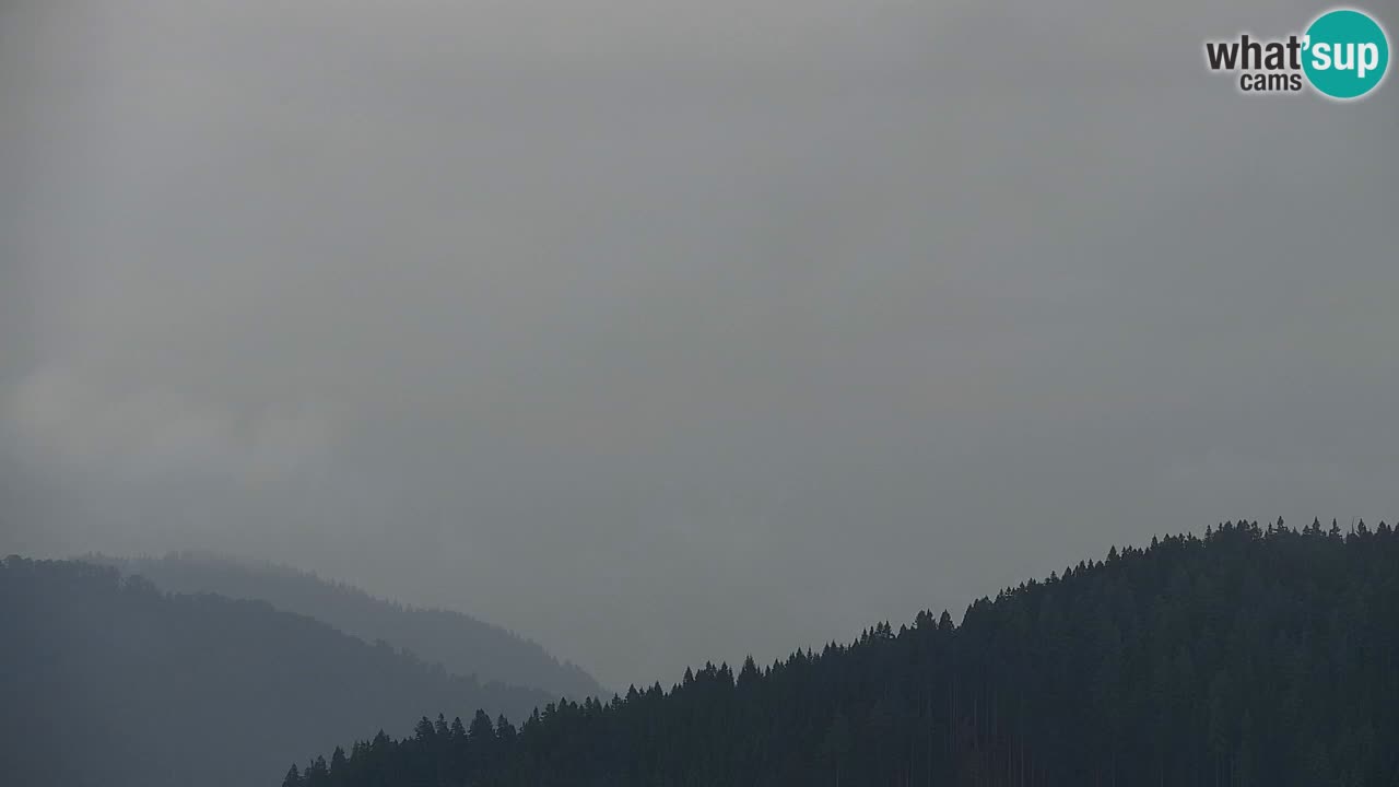 Webcam Koča na Golici (1582 m) – Slovenia
