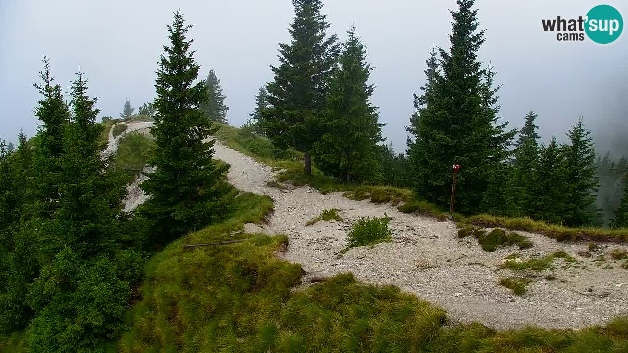 Webcam Chalet sur Golica (1582 m) – Slovénie