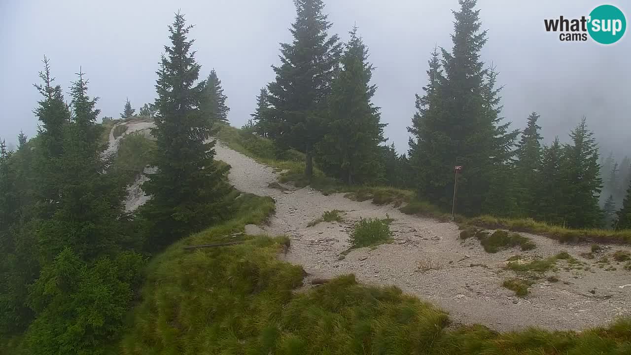 Spletna kamera Koča na Golici (1582 m) – Jesenice