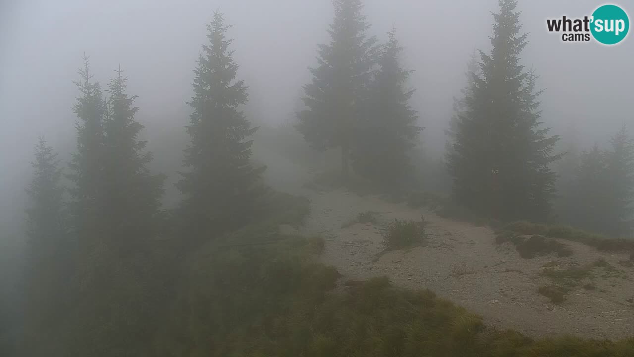 Web kamera Koča na Golici (1582 m) – Slovenija