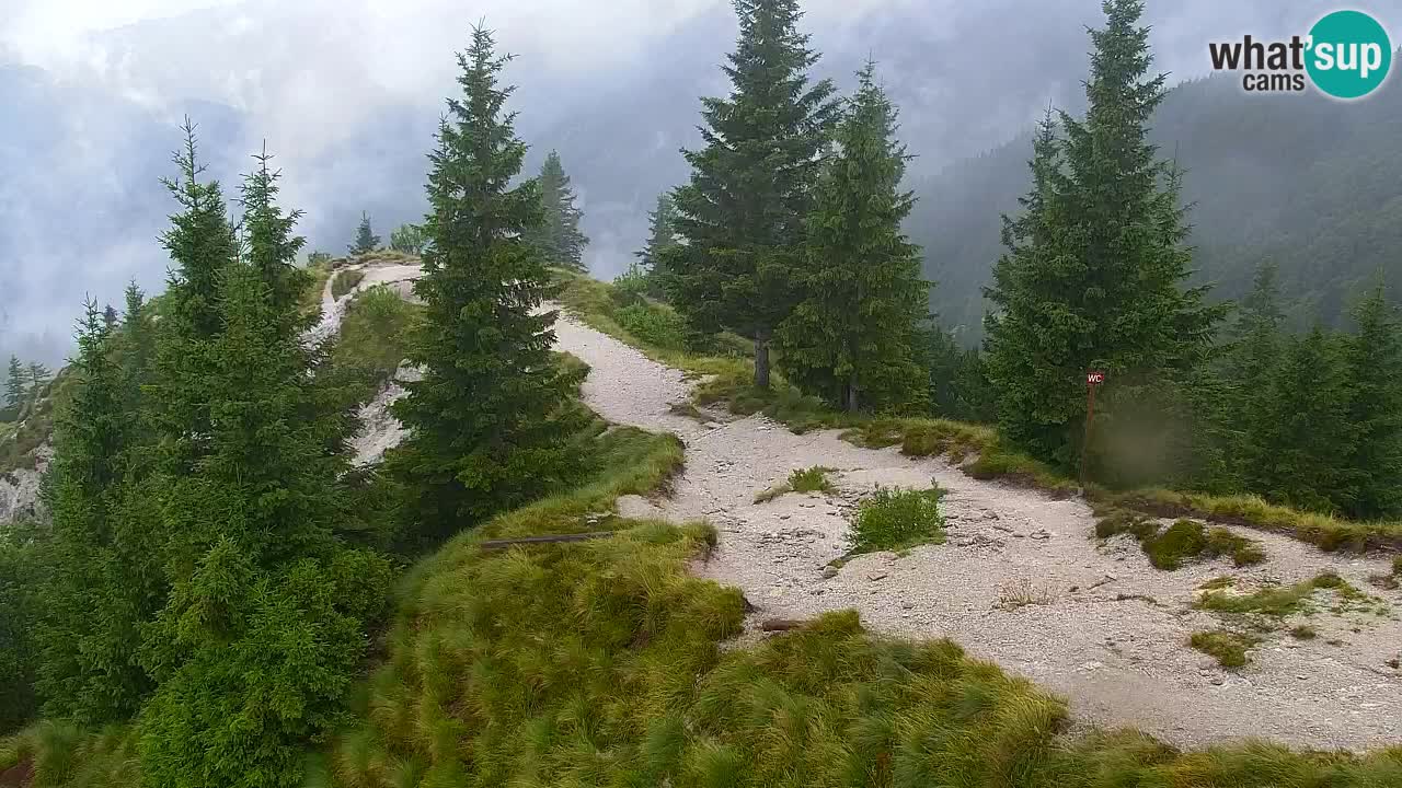 Web kamera Koča na Golici (1582 m) – Slovenija