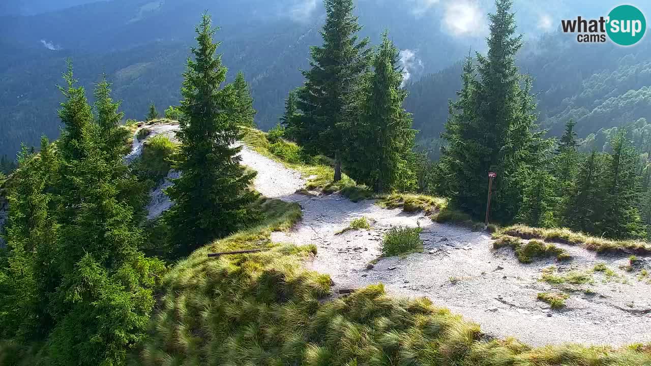 Webcam Koča na Golici (1582 m) – Slovenia