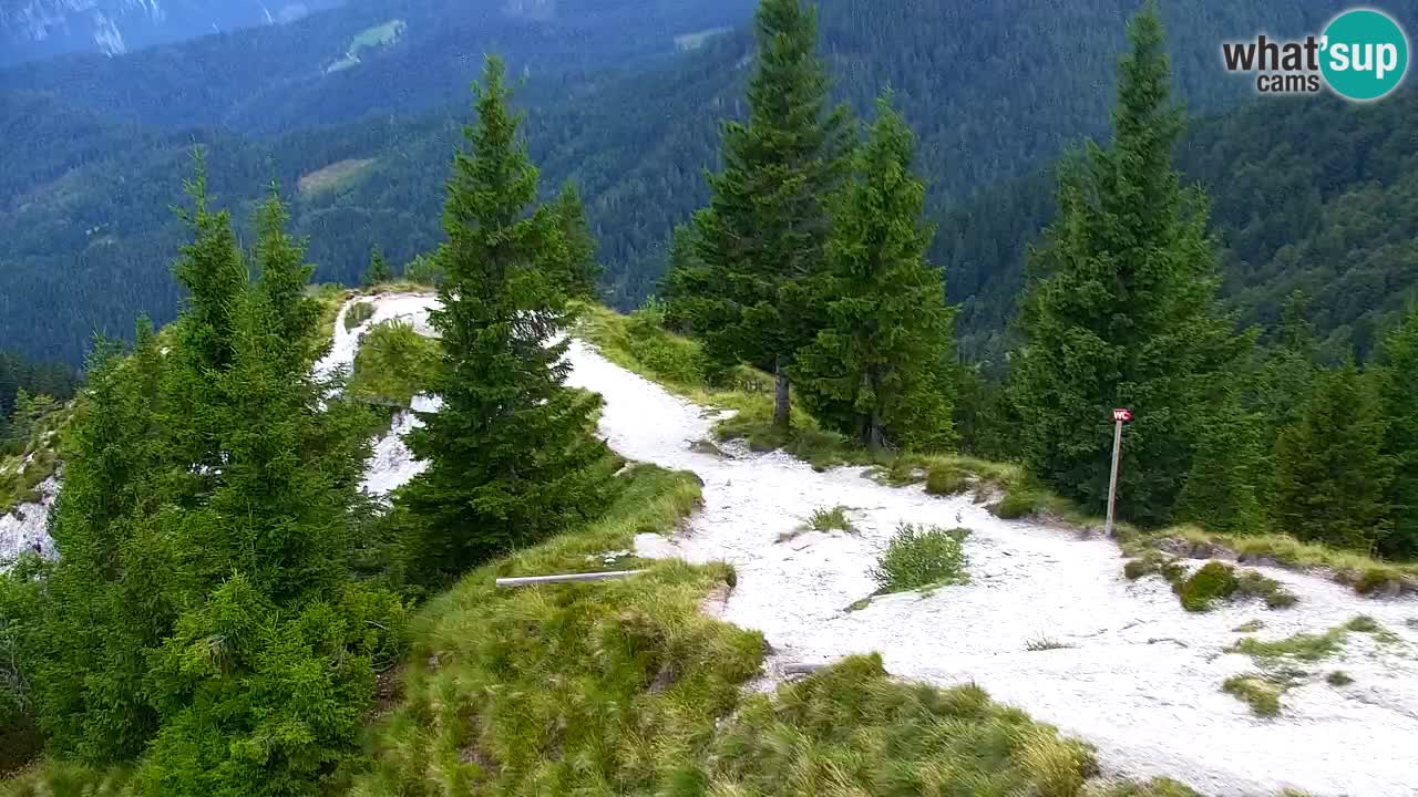 Koča na Golici Webcam (1582 m) – Slowenien