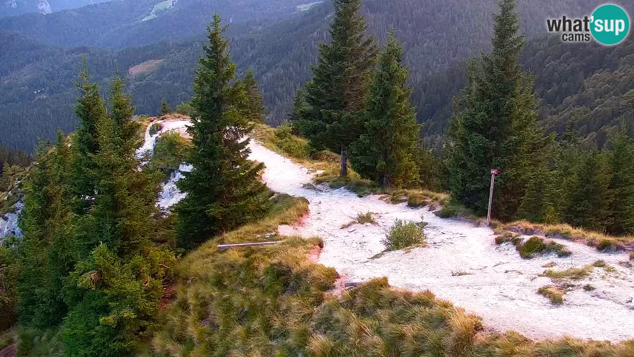 Koča na Golici Webcam (1582 m) – Slowenien
