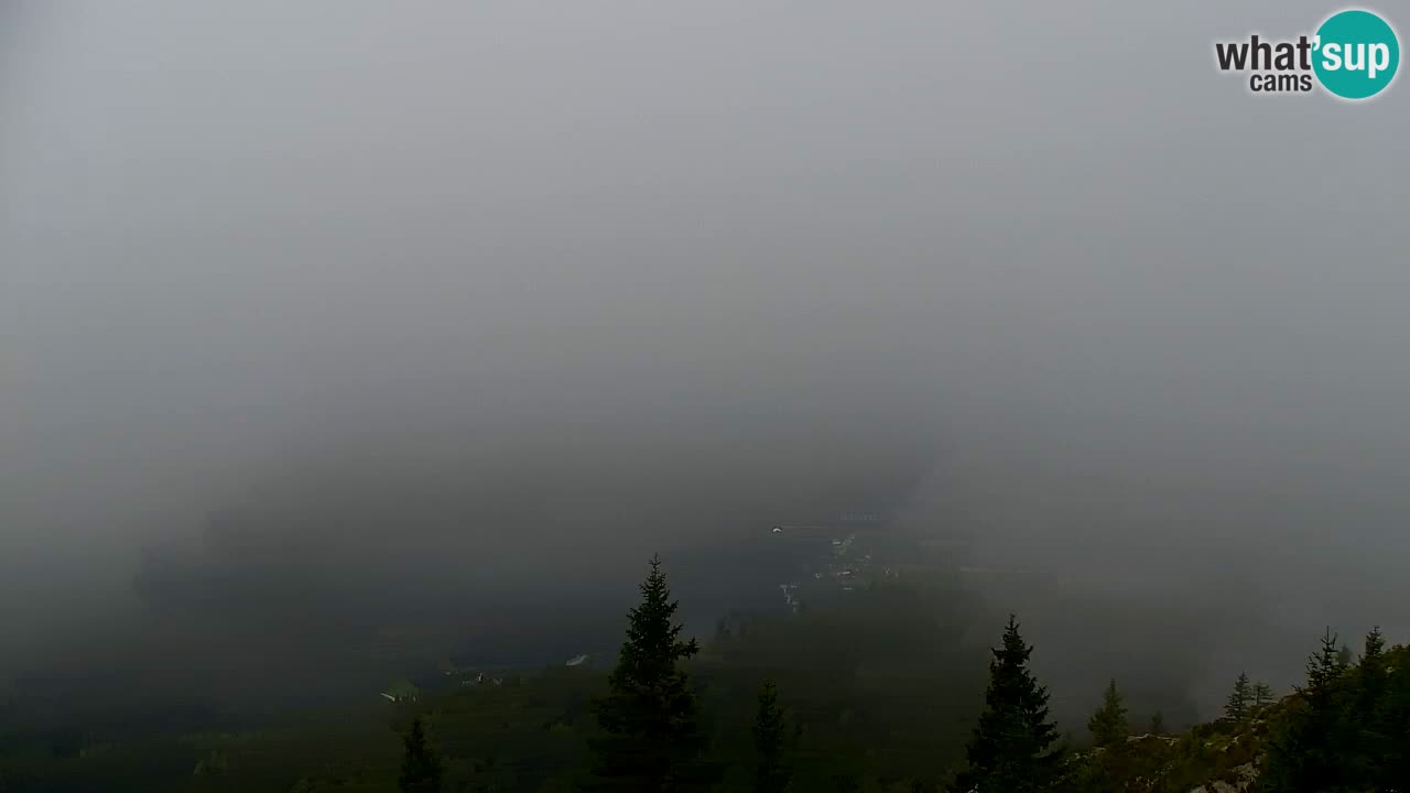 Webcam Koča na Golici (1582 m) – Slovenia