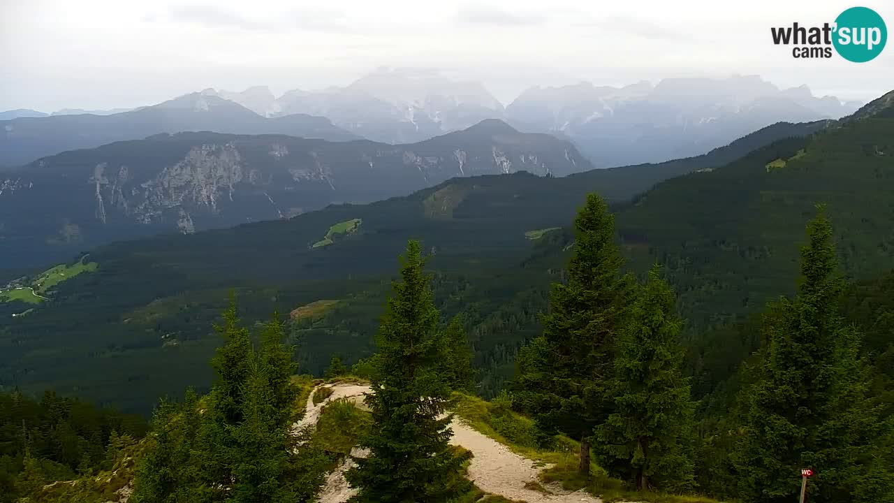 Koča na Golici Webcam (1582 m) – Slowenien