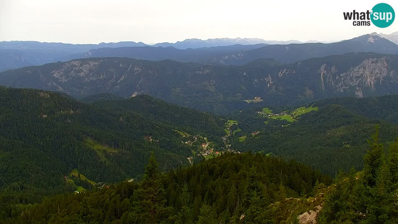 Webcam Koča na Golici (1582 m) – Slovenia