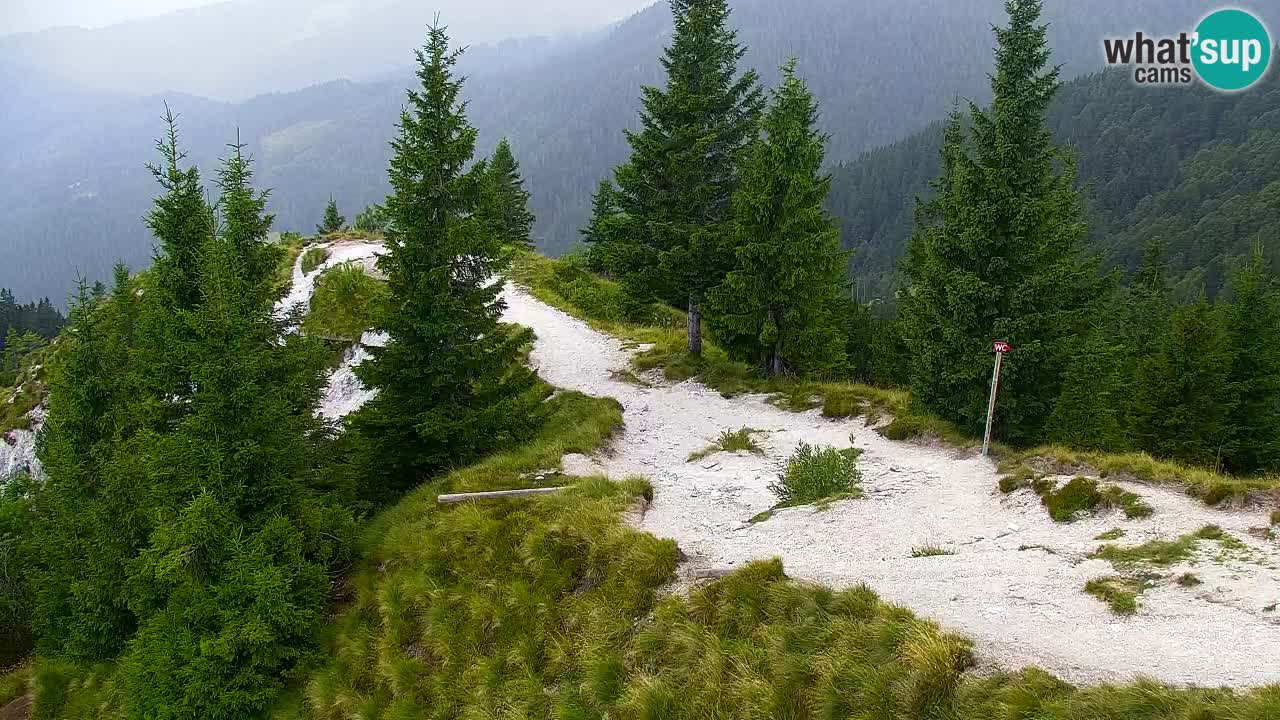 Koča na Golici Webcam (1582 m) – Slowenien