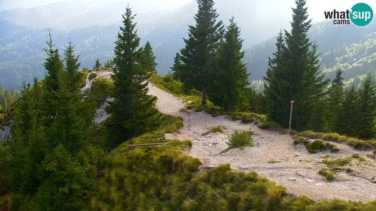 Webcam Koča na Golici (1582 m) – Slovenia