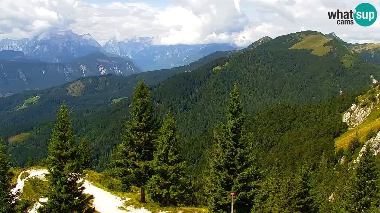 Koča na Golici Webcam (1582 m) – Slowenien