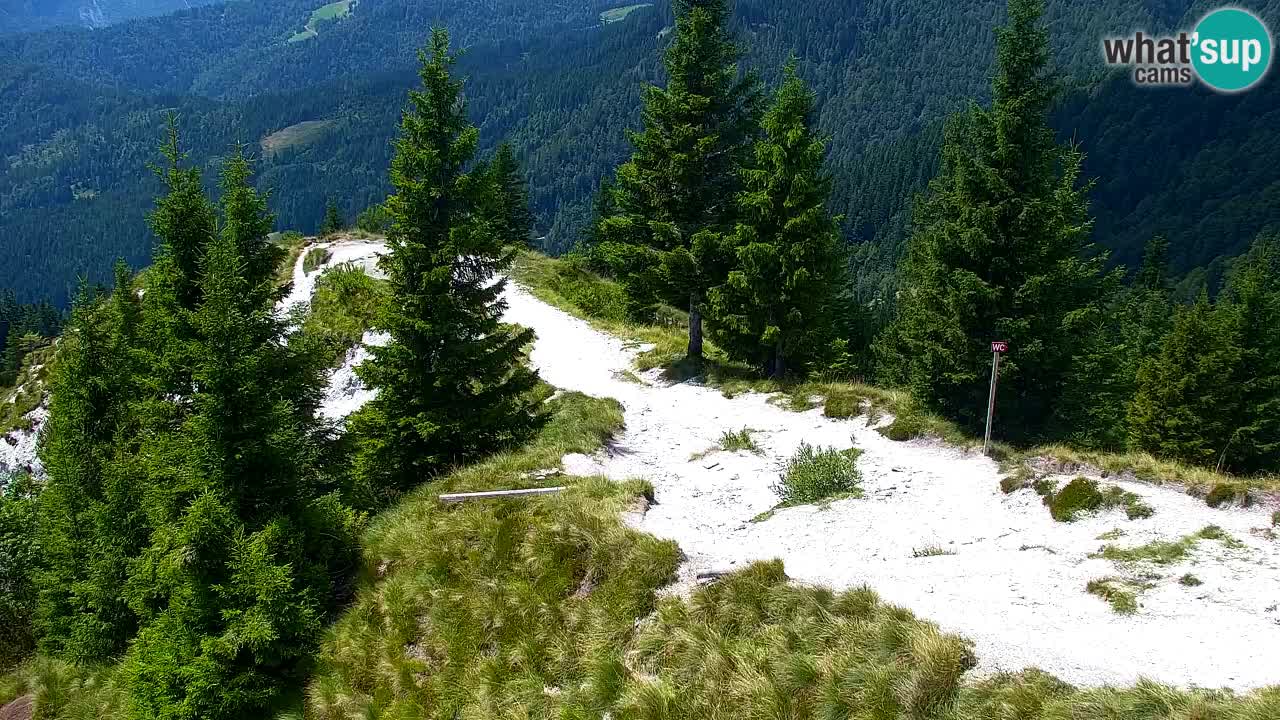 Spletna kamera Koča na Golici (1582 m) – Jesenice