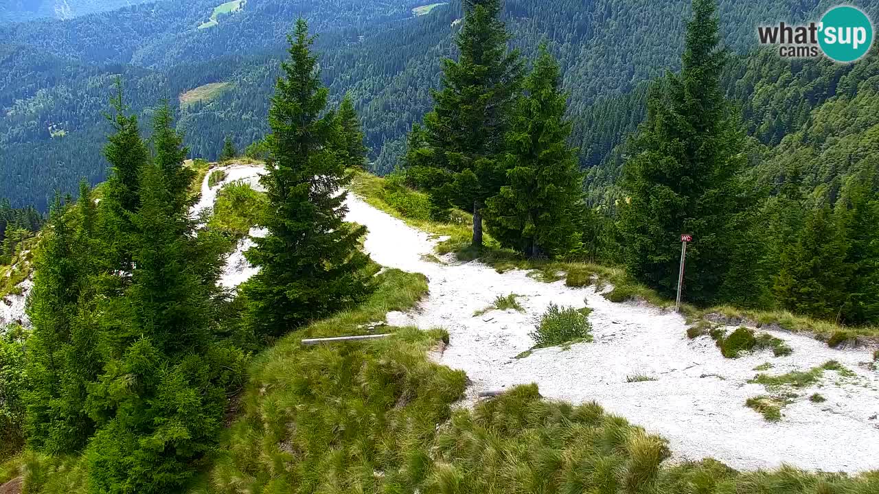 Spletna kamera Koča na Golici (1582 m) – Jesenice