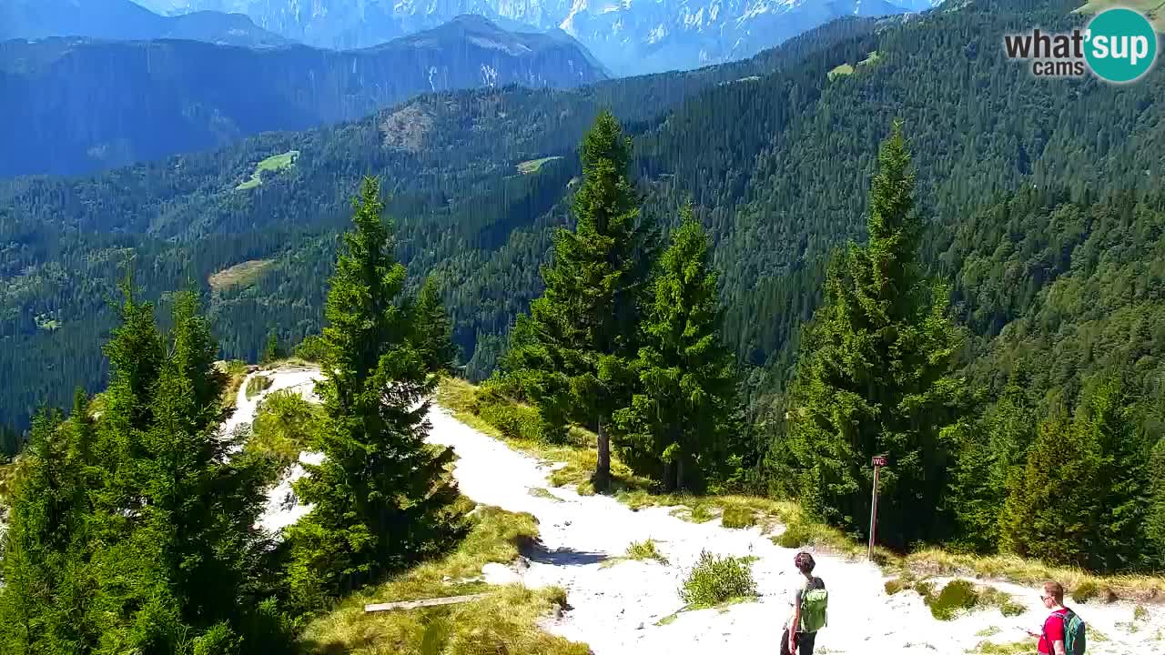 Webcam en Golica (1582 m) – Eslovenia