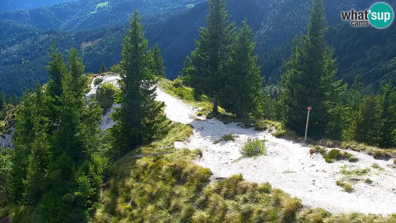Webcam en Golica (1582 m) – Eslovenia