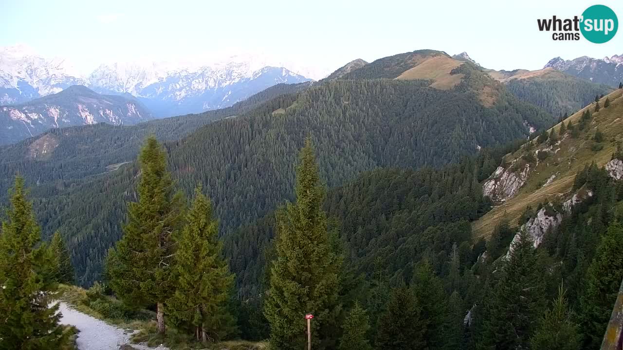 Web kamera Koča na Golici (1582 m) – Slovenija