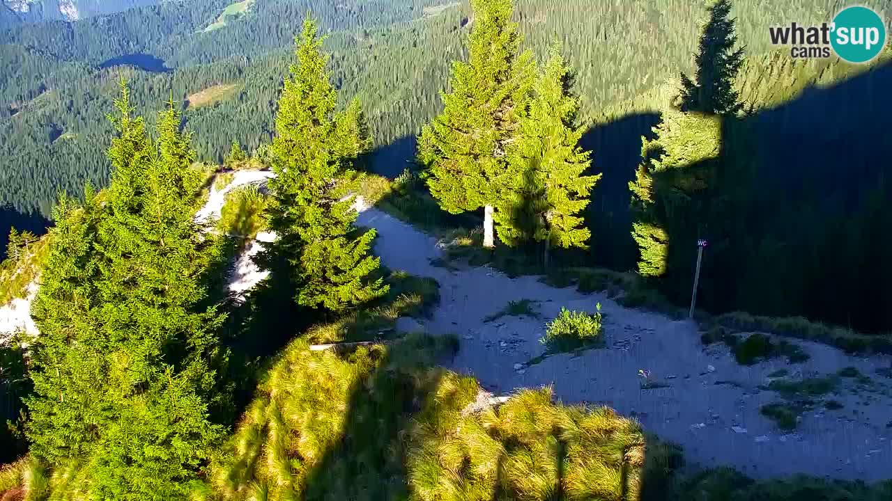 Webcam Koča na Golici (1582 m) – Slovenia