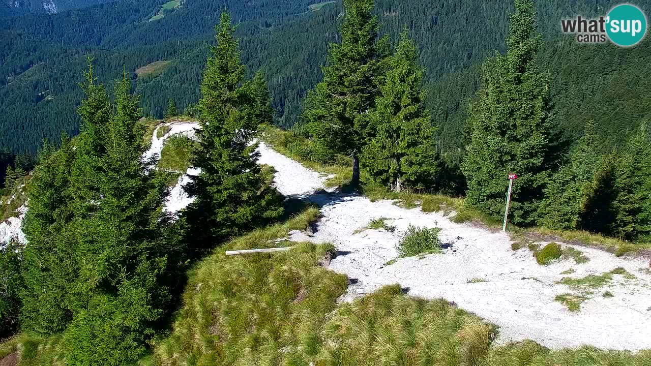 Webcam Koča na Golici (1582 m) – Slovenia