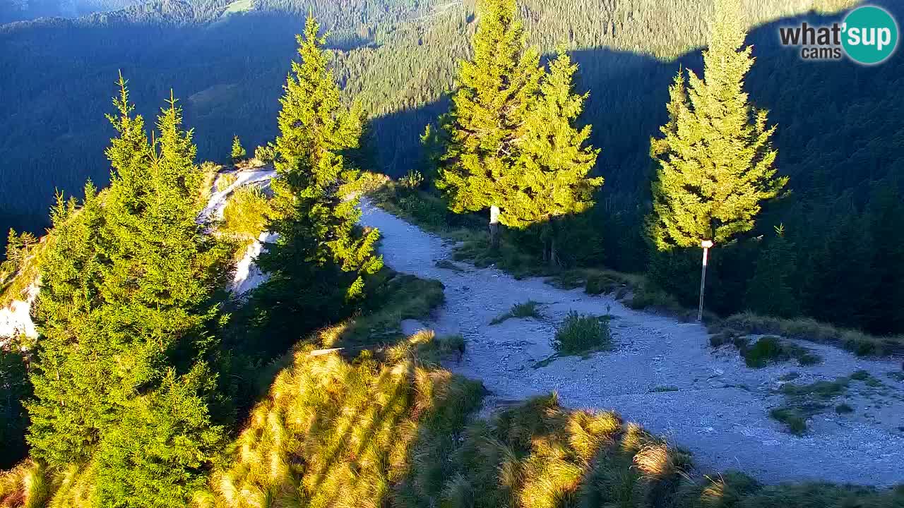 Spletna kamera Koča na Golici (1582 m) – Jesenice
