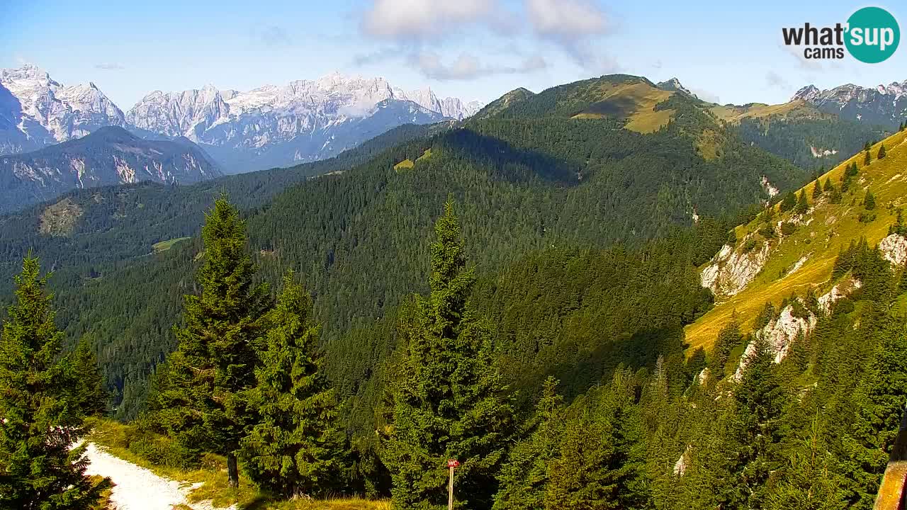 Koča na Golici Webcam (1582 m) – Slowenien