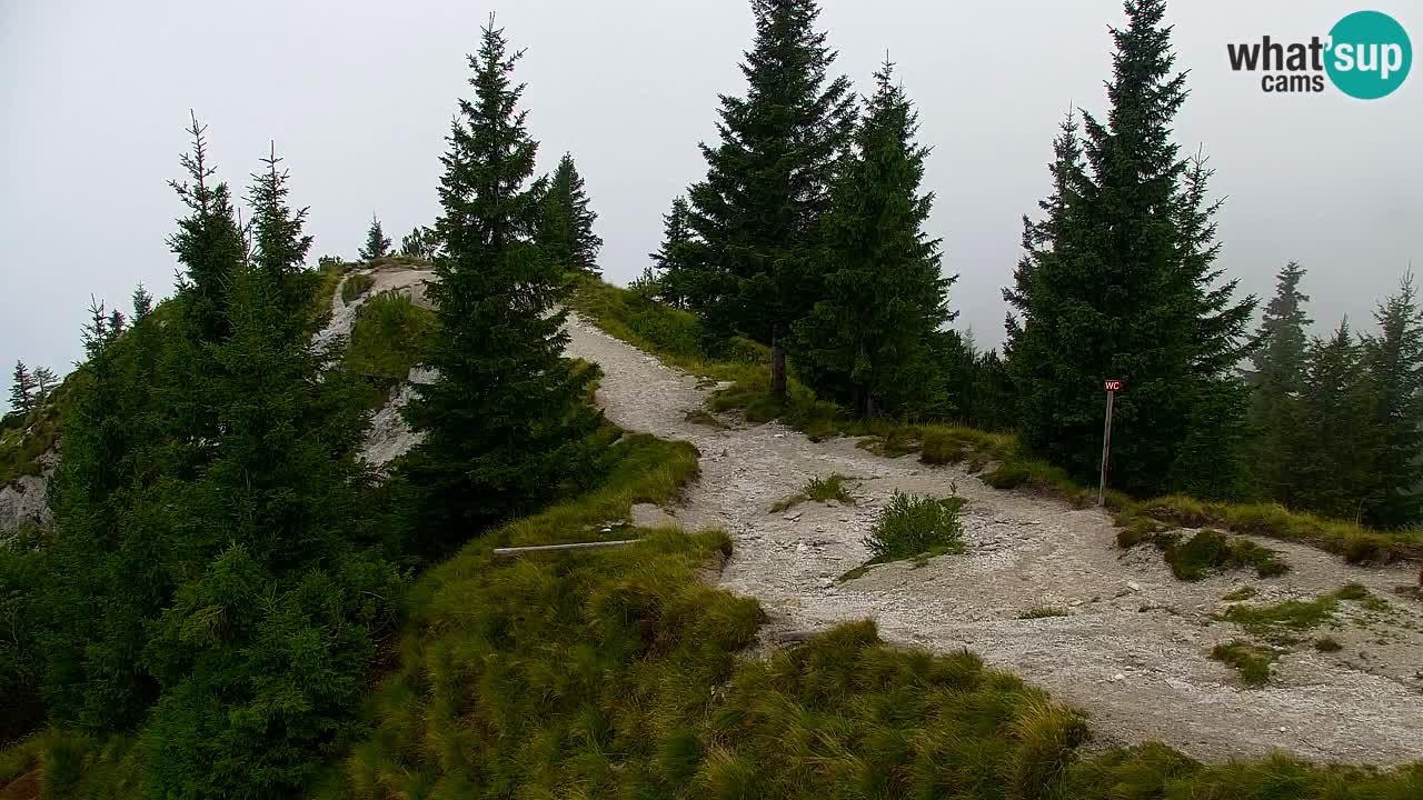 Koča na Golici Webcam (1582 m) – Slowenien