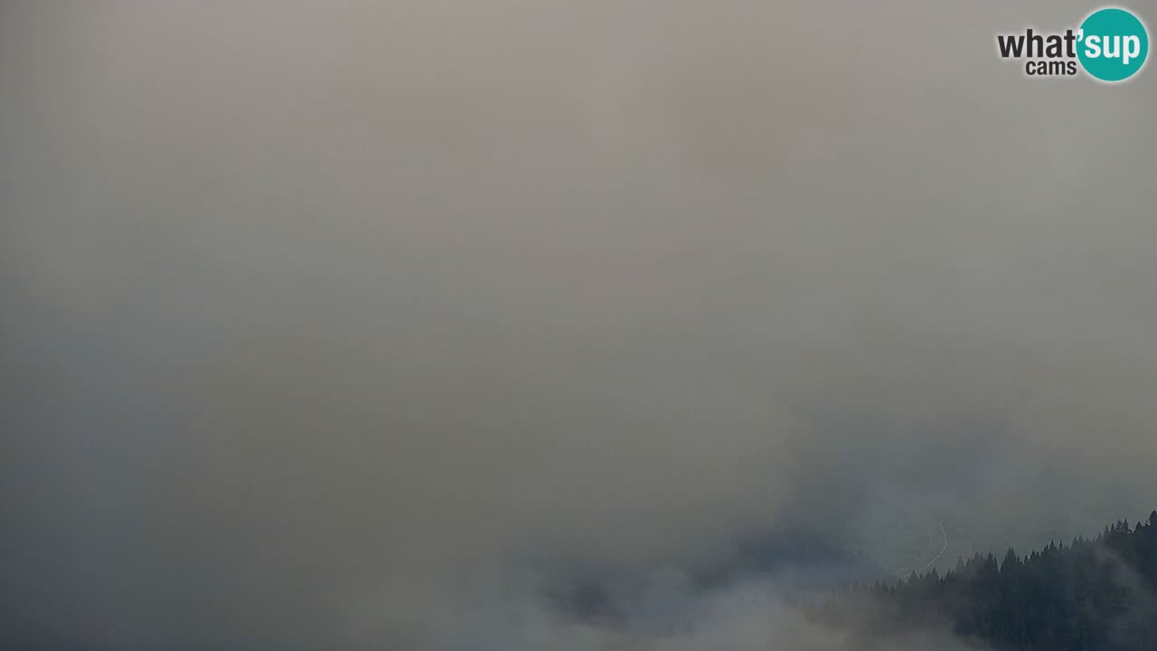Koča na Golici Webcam (1582 m) – Slowenien