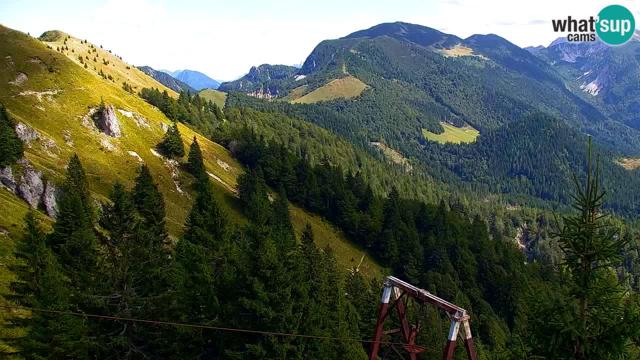 Koča na Golici Webcam (1582 m) – Slowenien