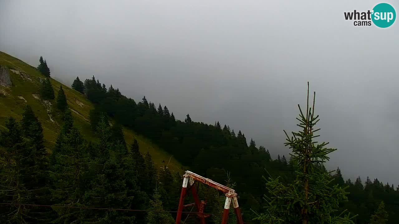 Koča na Golici Webcam (1582 m) – Slowenien