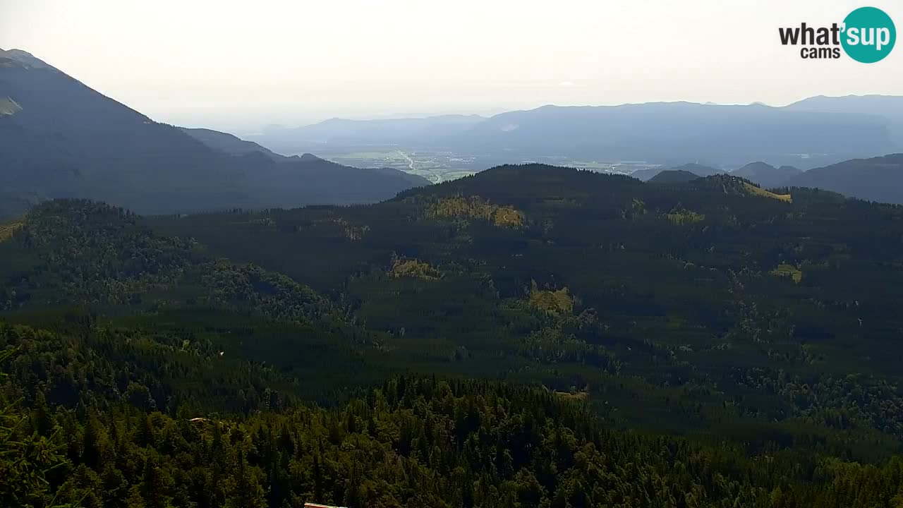 Webcam Koča na Golici (1582 m) – Slovenia