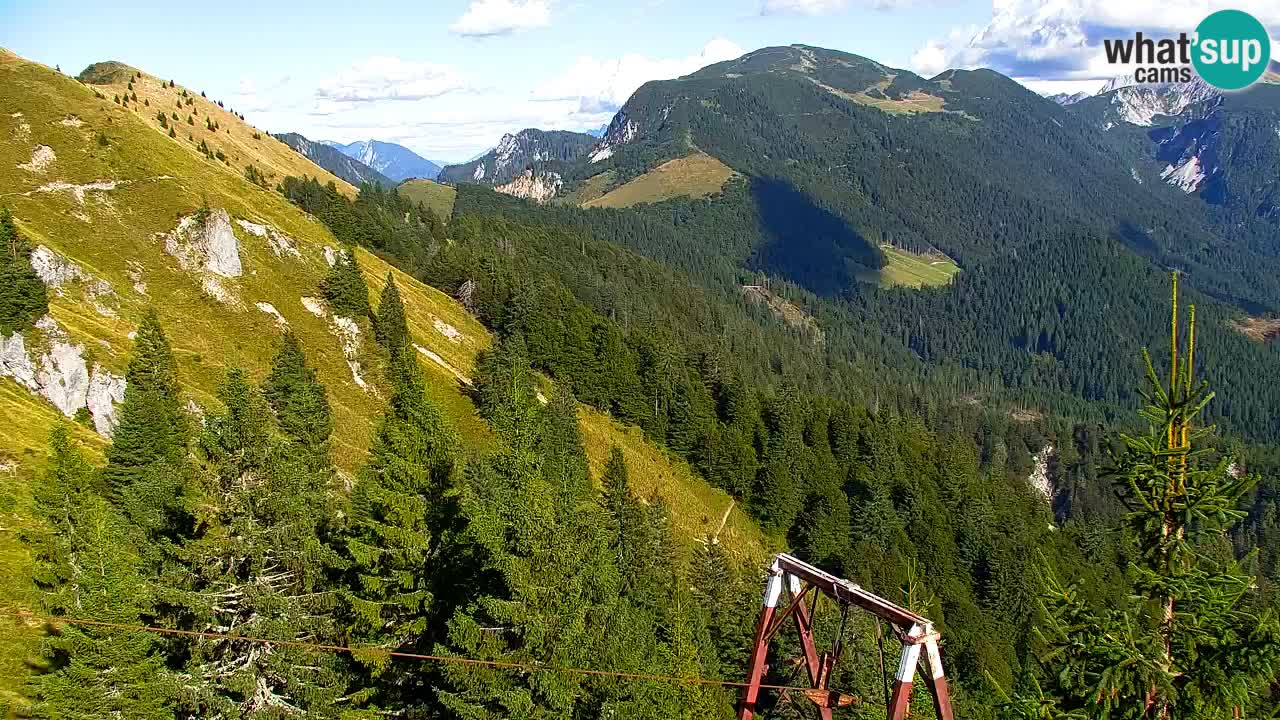 Web kamera Koča na Golici (1582 m) – Slovenija