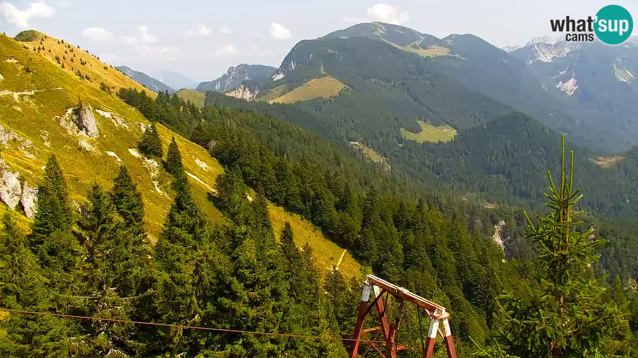 Web kamera Koča na Golici (1582 m) – Slovenija