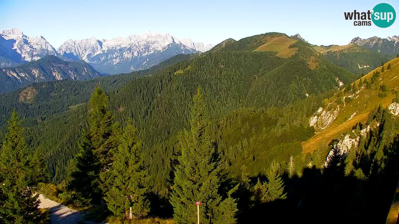 Webcam Koča na Golici (1582 m) – Slovenia