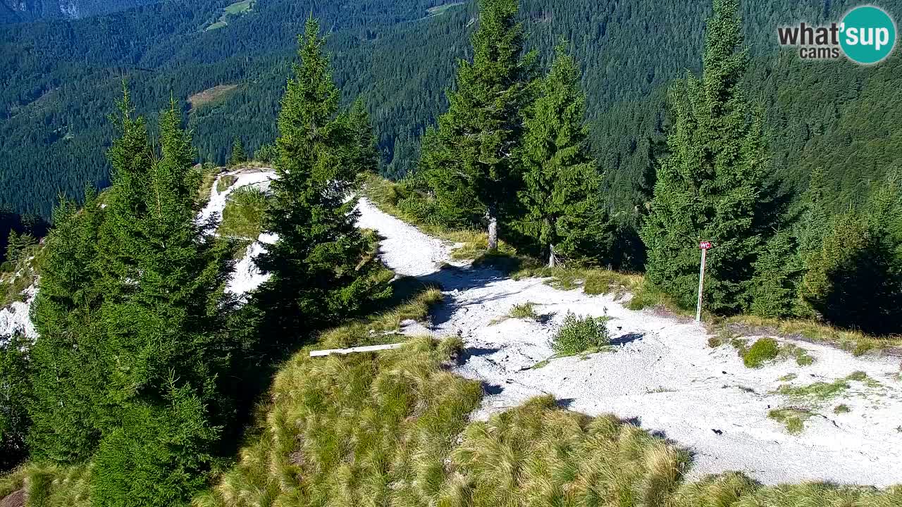 Spletna kamera Koča na Golici (1582 m) – Jesenice