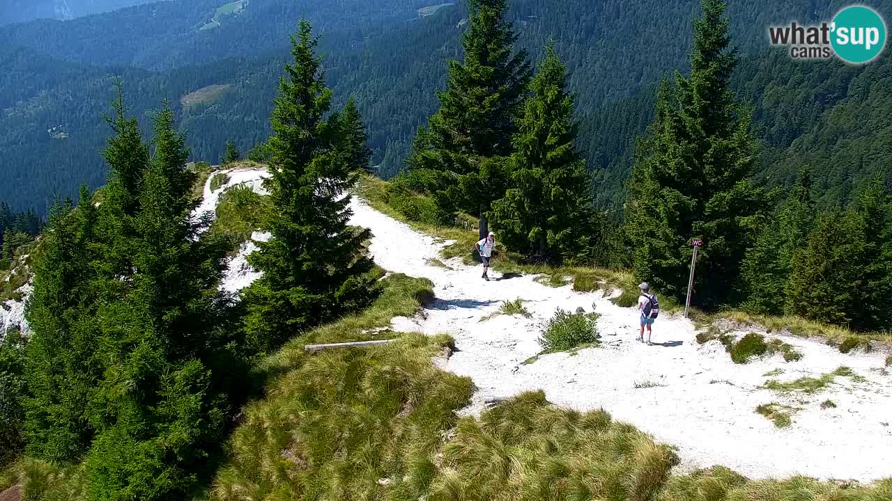 Spletna kamera Koča na Golici (1582 m) – Jesenice