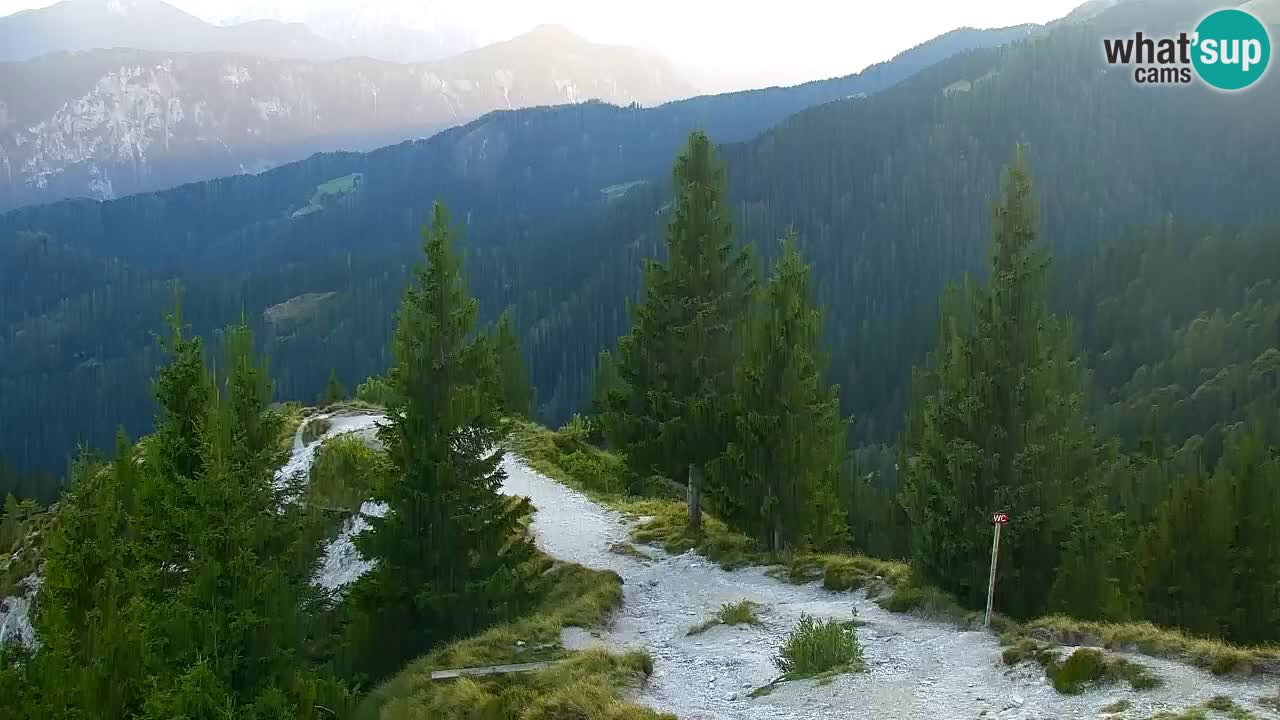 Koča na Golici Webcam (1582 m) – Slowenien