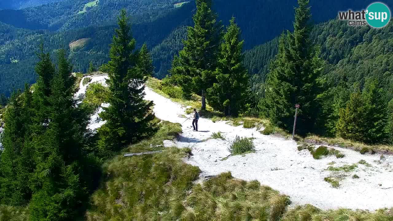 Web kamera Koča na Golici (1582 m) – Slovenija
