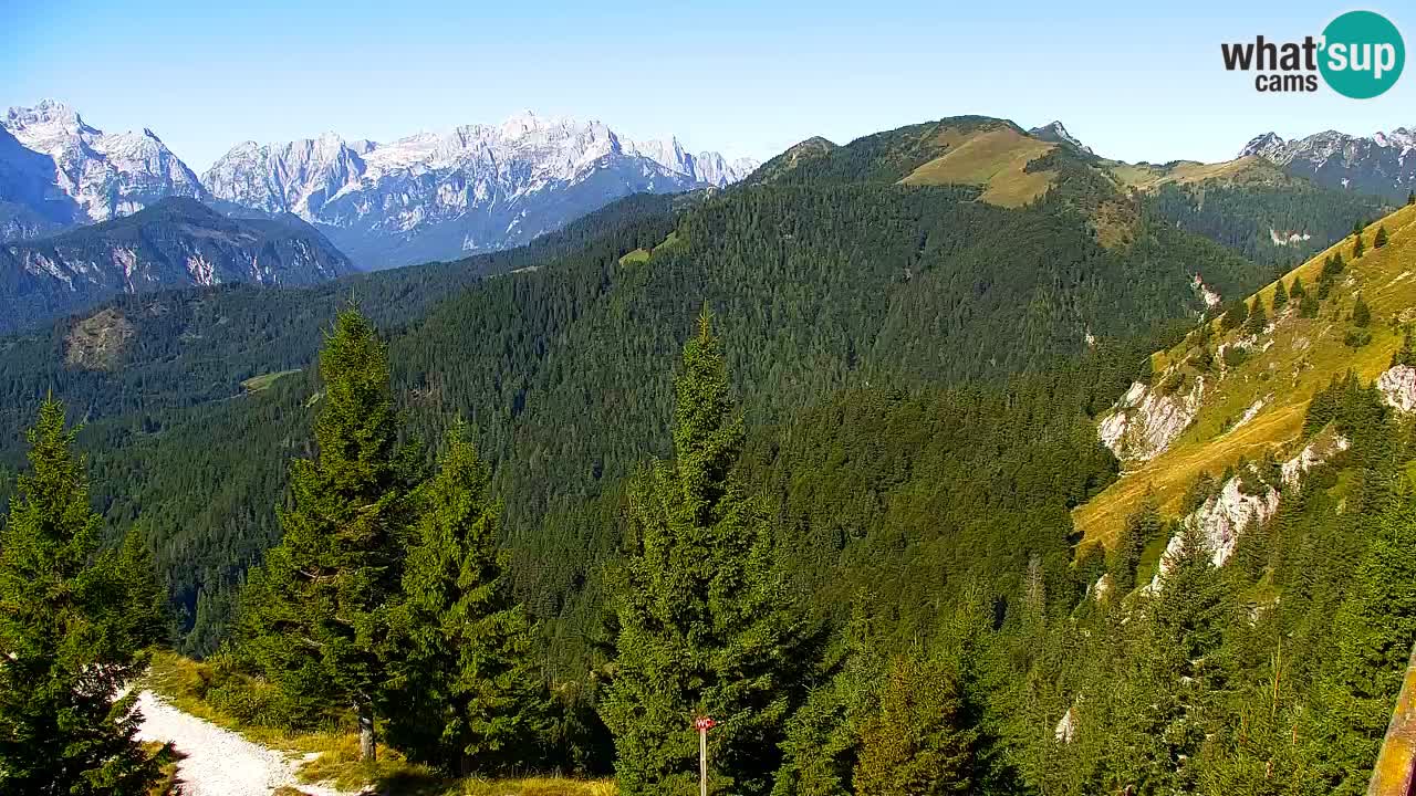Webcam en Golica (1582 m) – Eslovenia