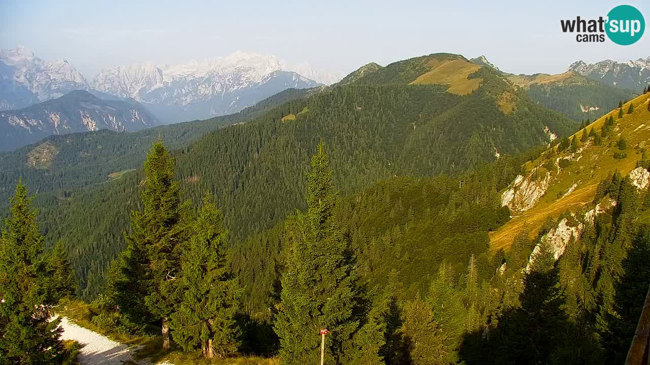 Koča na Golici Webcam (1582 m) – Slowenien