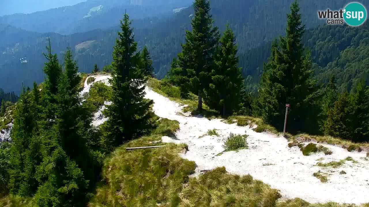 Koča na Golici Webcam (1582 m) – Slowenien
