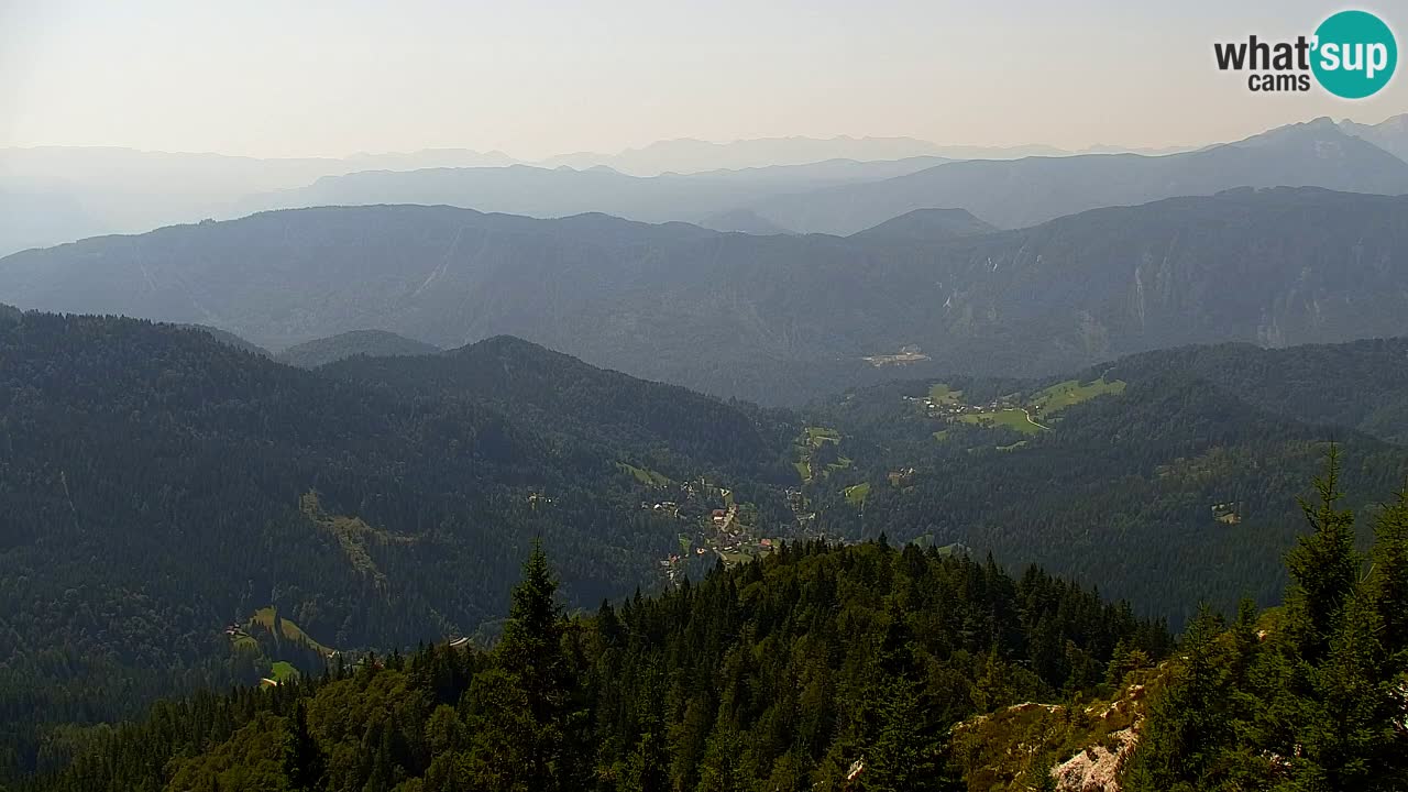 Web kamera Koča na Golici (1582 m) – Slovenija
