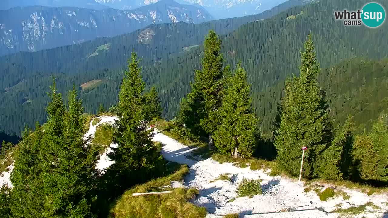 Webcam en Golica (1582 m) – Eslovenia