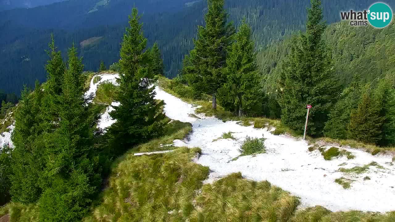 Koča na Golici Webcam (1582 m) – Slowenien