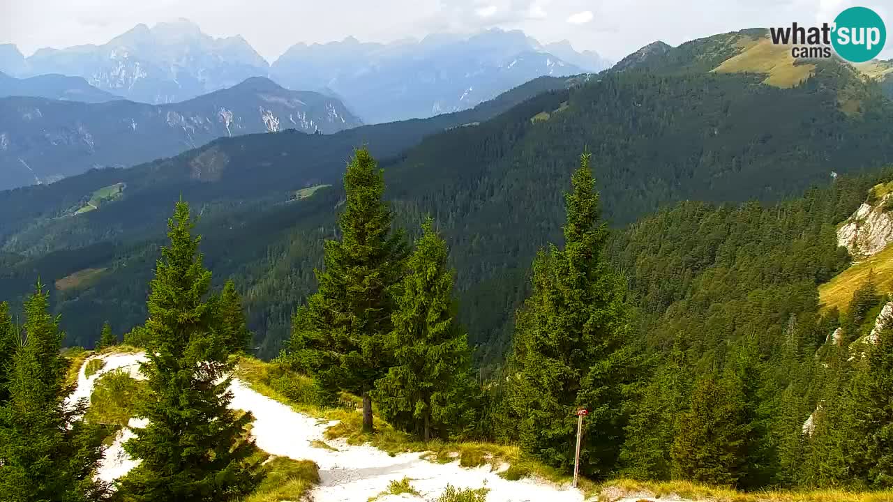 Webcam Chalet sur Golica (1582 m) – Slovénie