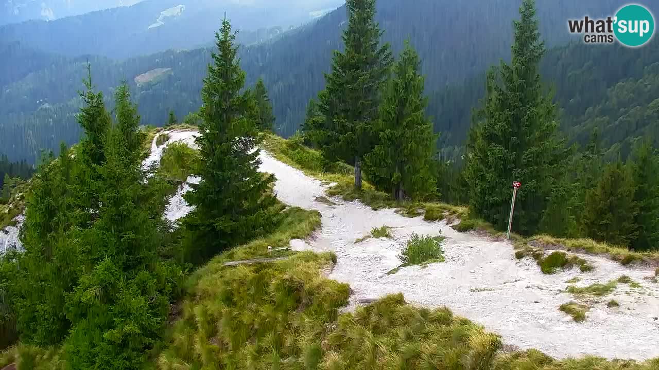 Webcam na Golici – Baita di montagna (1582 m) – Slovenia