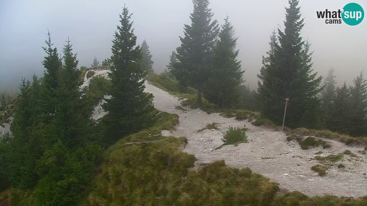 Webcam Chalet sur Golica (1582 m) – Slovénie