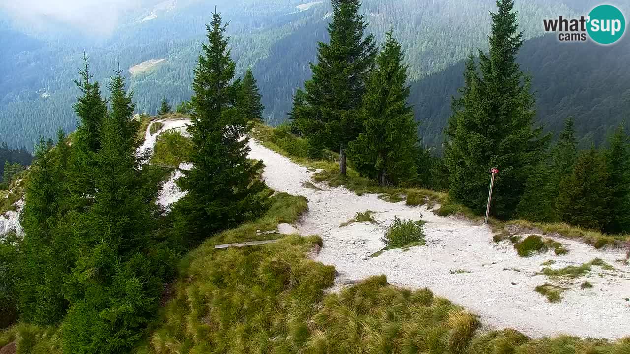 Webcam Koča na Golici (1582 m) – Slovenia
