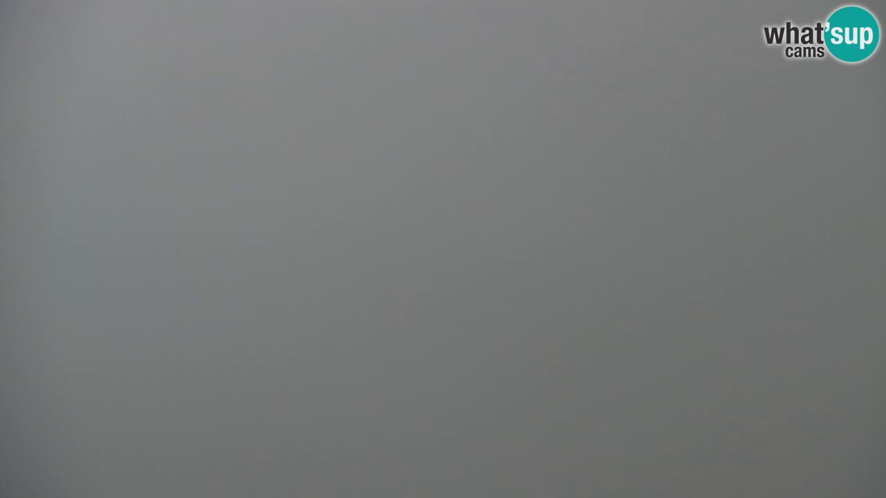 Web kamera Koča na Golici (1582 m) – Slovenija