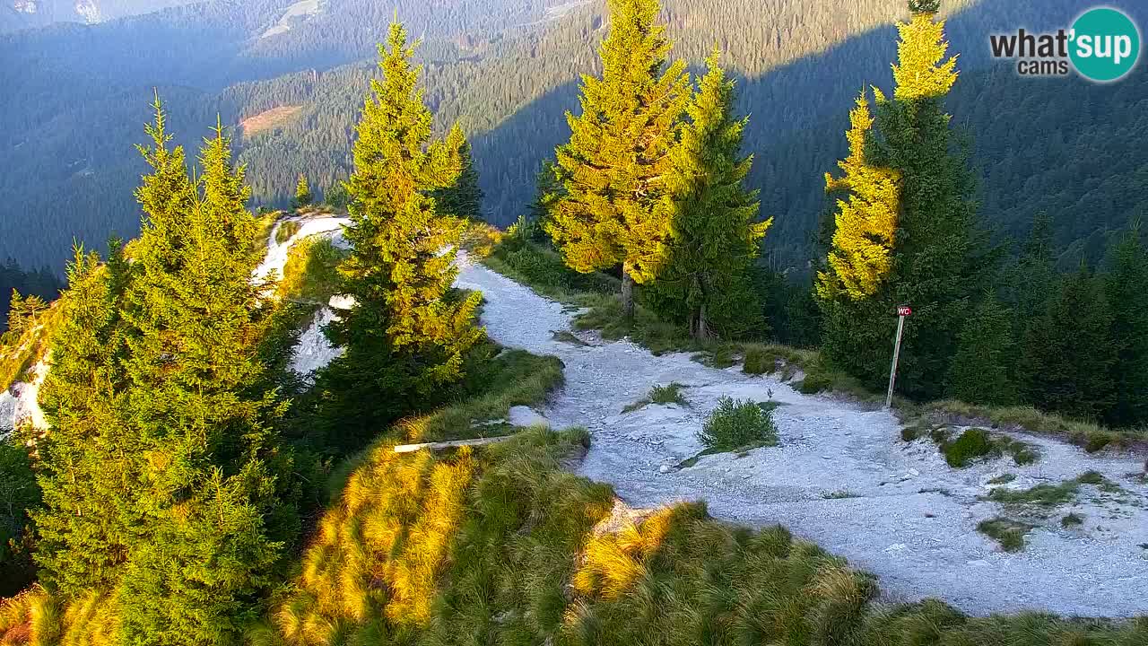 Webcam Koča na Golici (1582 m) – Slovenia