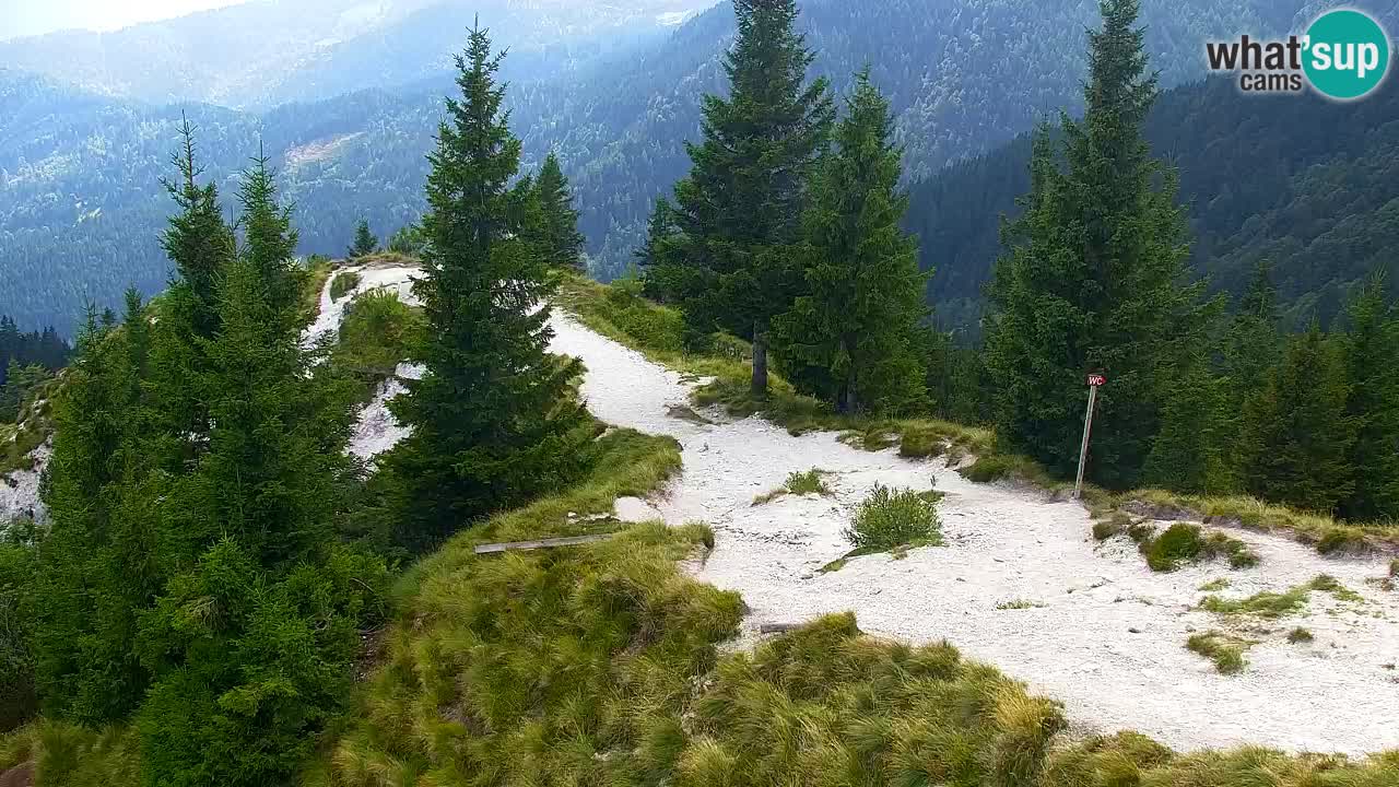Webcam Koča na Golici (1582 m) – Slovenia