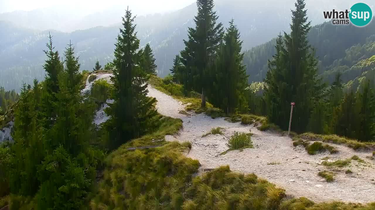 Webcam en Golica (1582 m) – Eslovenia