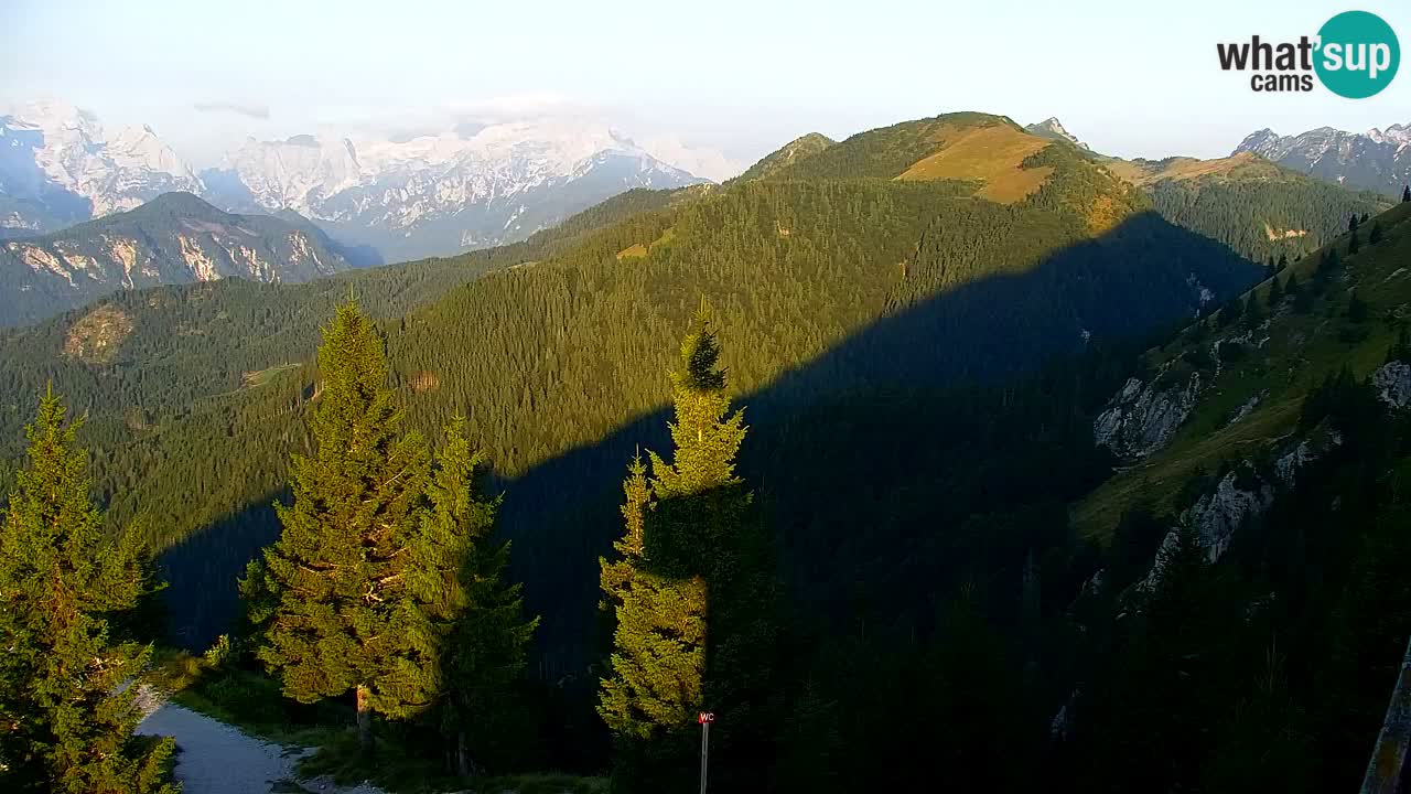 Webcam Koča na Golici (1582 m) – Slovenia